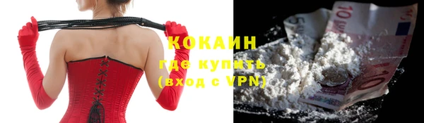 гашик Коряжма