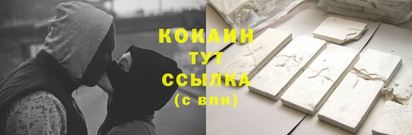 гашик Коряжма