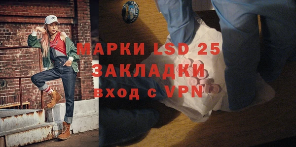 гашик Коряжма