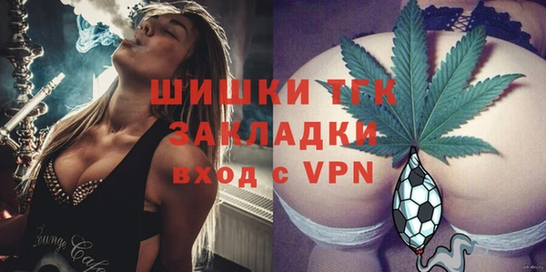 гашик Коряжма