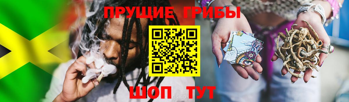 Галлюциногенные грибы MAGIC MUSHROOMS  Вход с VPN  Куйбышев 