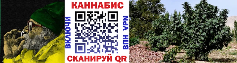 Канабис AK-47  закладки  Куйбышев 